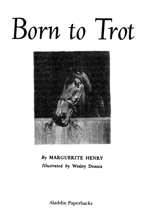 Cover image for book Born to Trot