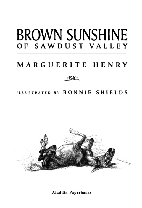 Cover image for book Brown Sunshine of Sawdust Valley