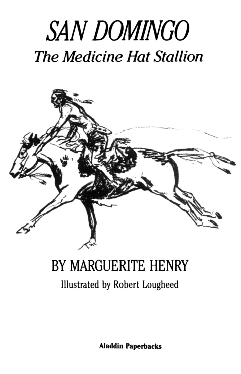 Cover image for book San Domingo