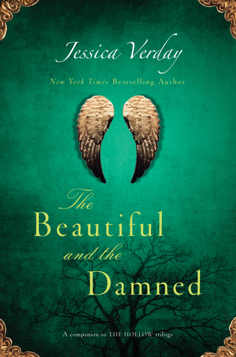 Cover image for book The Beautiful and the Damned