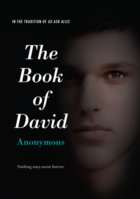 Cover image for book The Book of David