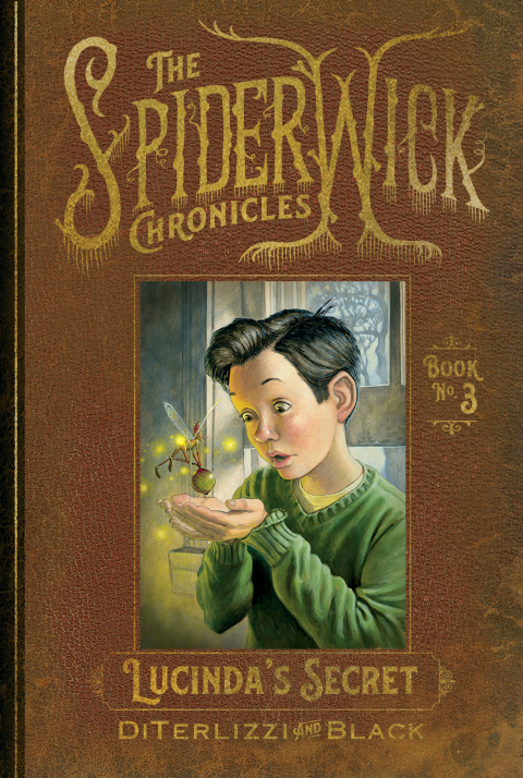 Cover image for book Lucinda's Secret