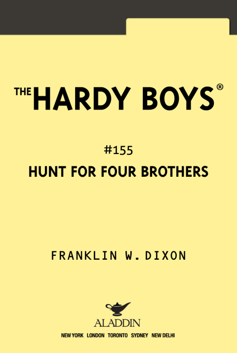 Cover image for book The Hunt for Four Brothers