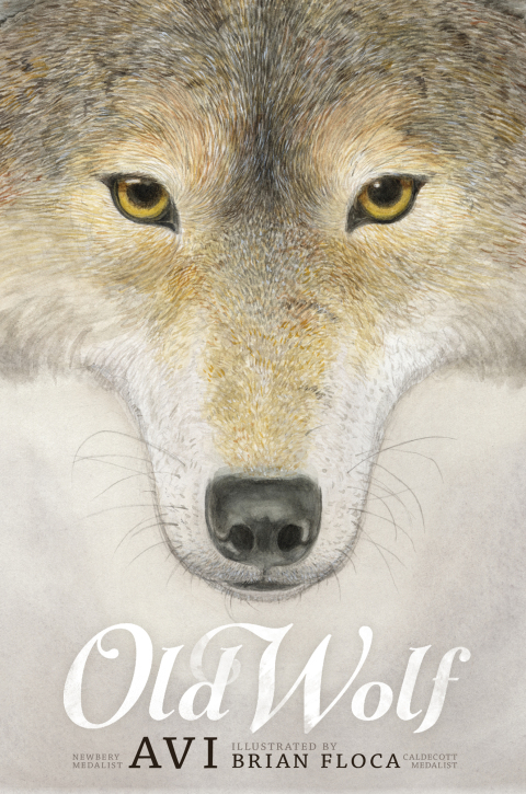 Cover image for book Old Wolf