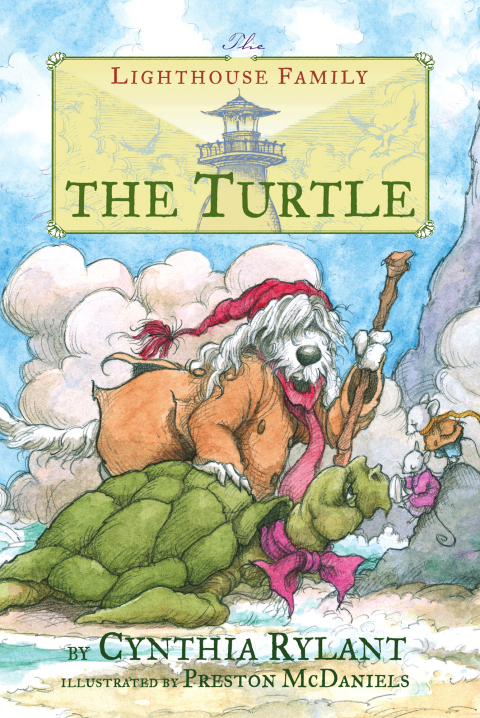 Cover image for book The Turtle