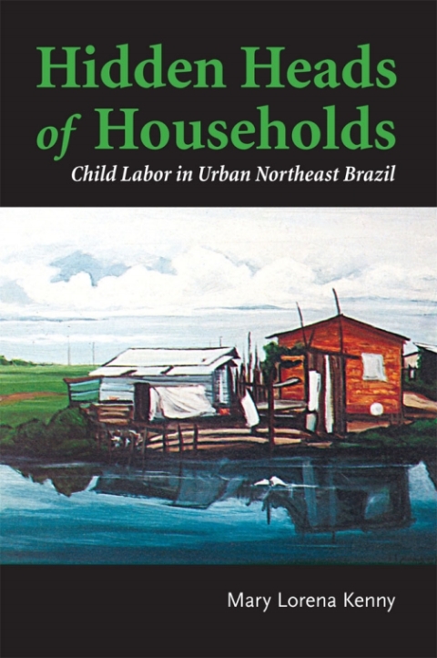 Cover image for book Hidden Heads of Households