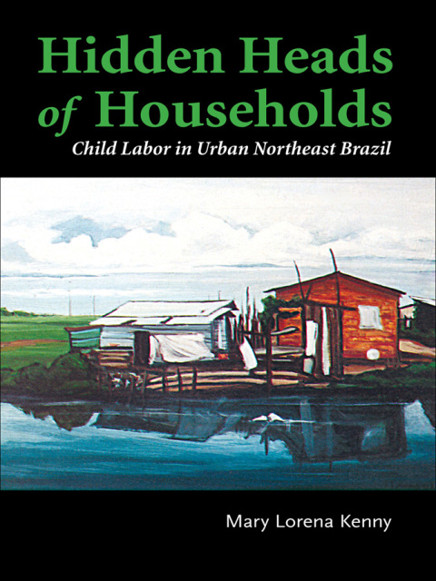 Cover image for book Hidden Heads of Households