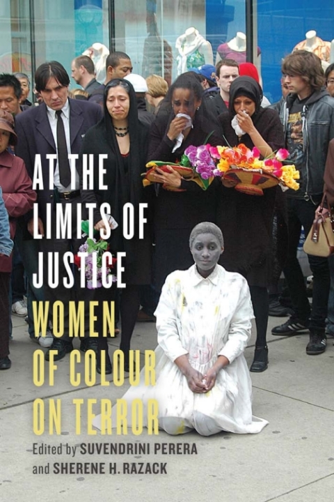 Cover image for book At the Limits of Justice