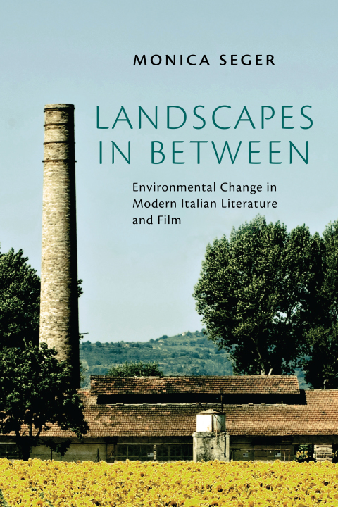 Cover image for book Landscapes in Between