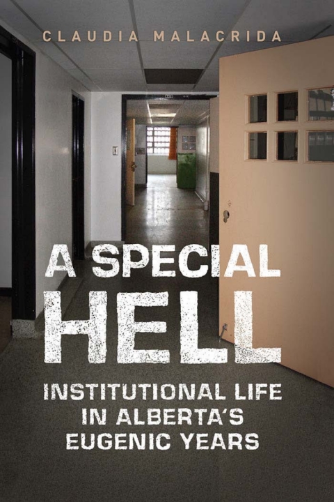 Cover image for book A Special Hell