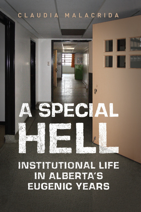 Cover image for book A Special Hell