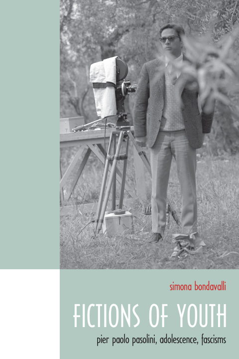 Cover image for book Fictions of Youth