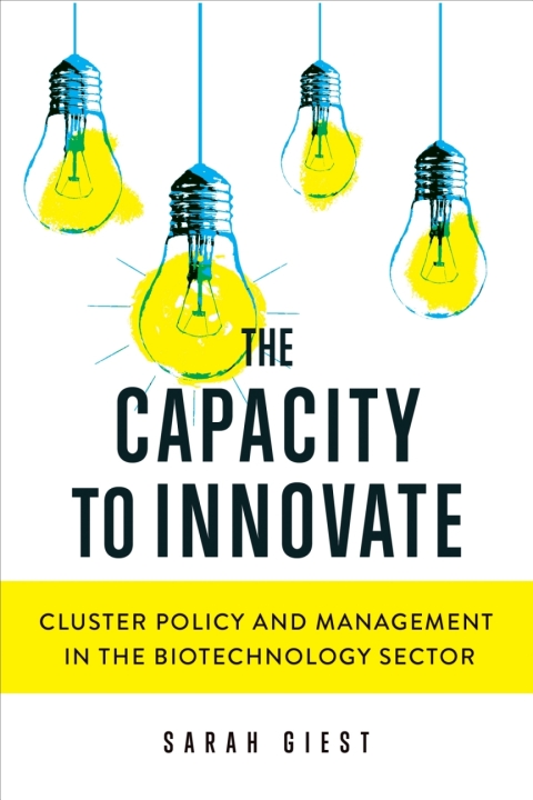 Cover image for book The Capacity to Innovate