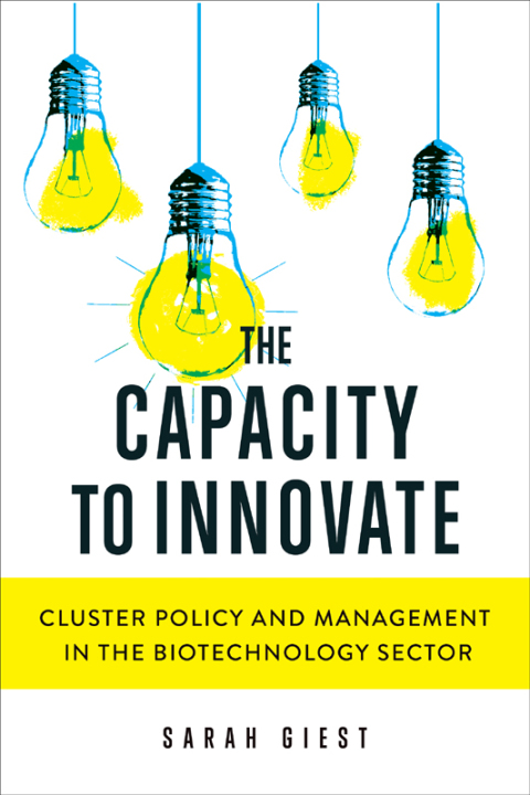 Cover image for book The Capacity to Innovate