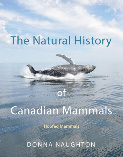 Cover image for book The Natural History of Canadian Mammals