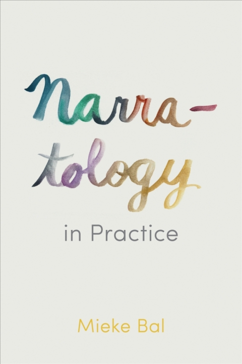 Cover image for book Narratology in Practice