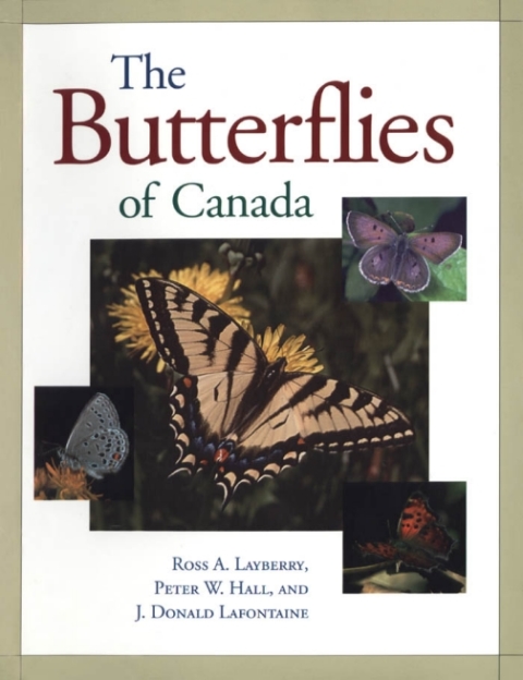 Cover image for book The Butterflies of Canada