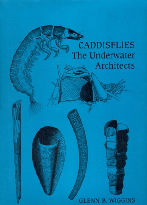 Cover image for book Caddisflies