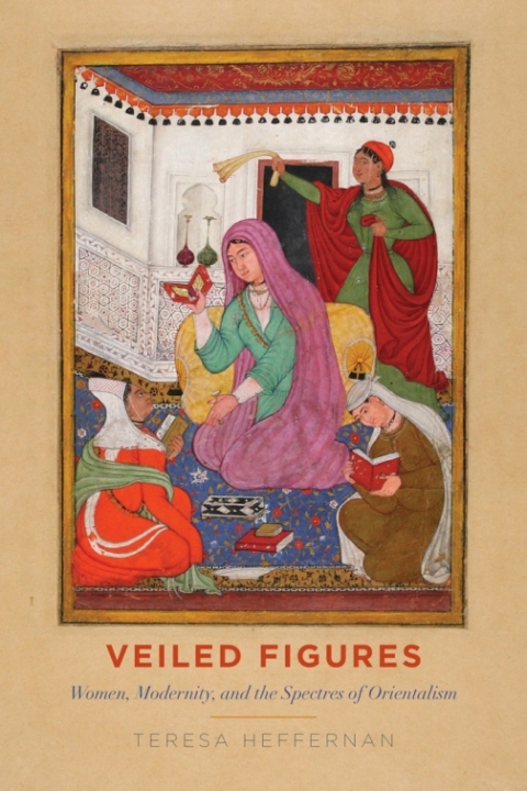 Cover image for book Veiled Figures