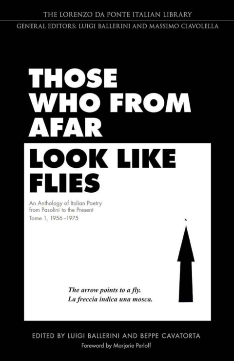 Cover image for book Those Who from Afar Look Like Flies