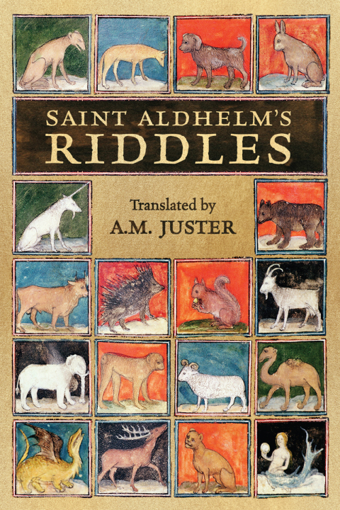 Cover image for book Saint Aldhelm's Riddles