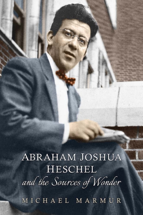 Cover image for book Abraham Joshua Heschel and the Sources of Wonder