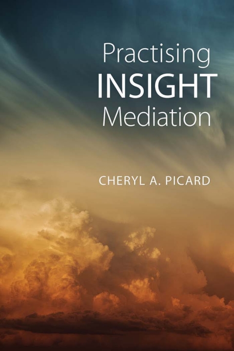 Cover image for book Practising Insight Mediation