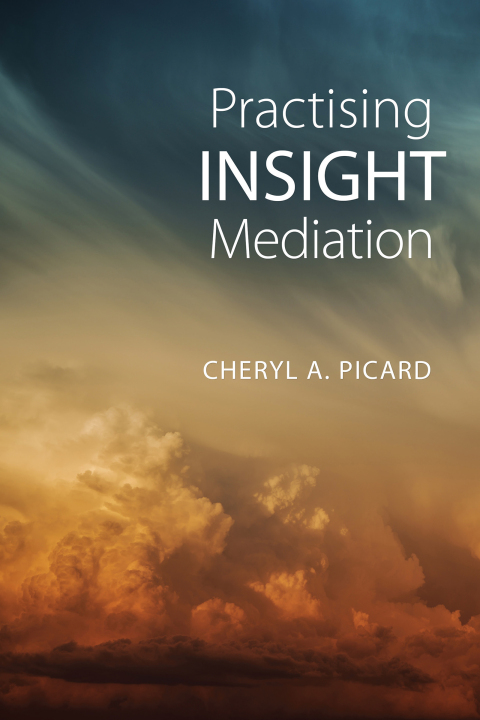 Cover image for book Practising Insight Mediation