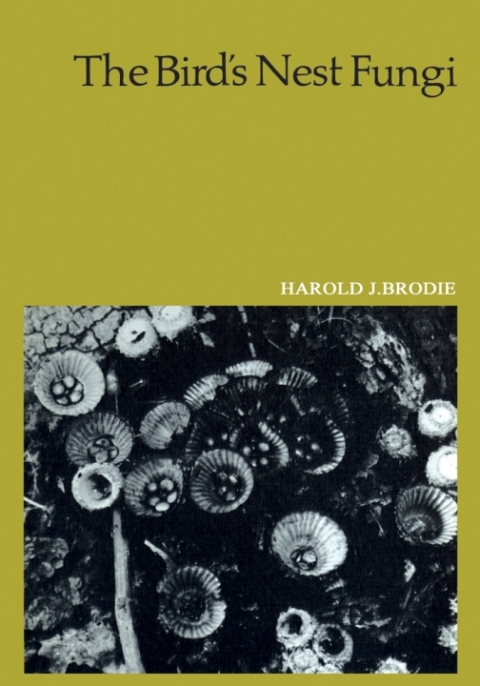 Cover image for book The Bird's Nest Fungi
