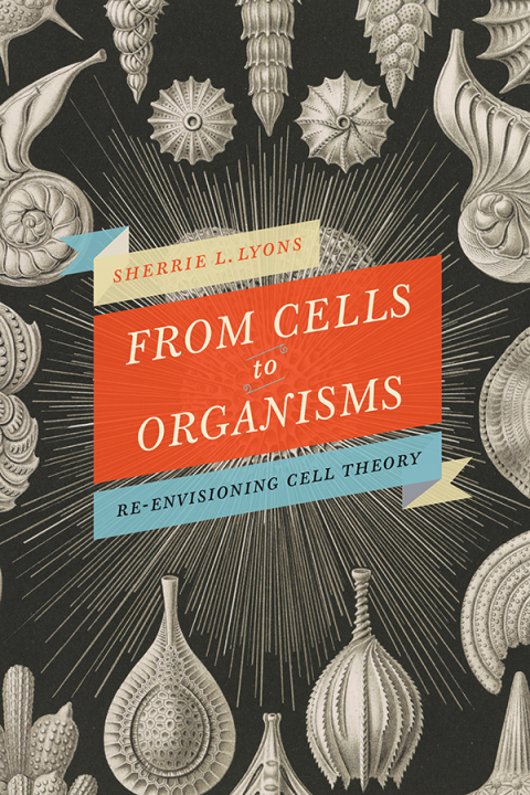 Cover image for book From Cells to Organisms