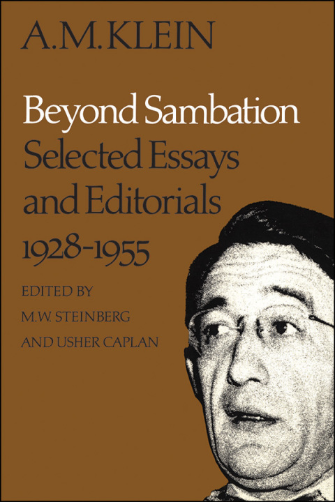 Cover image for book Beyond Sambation