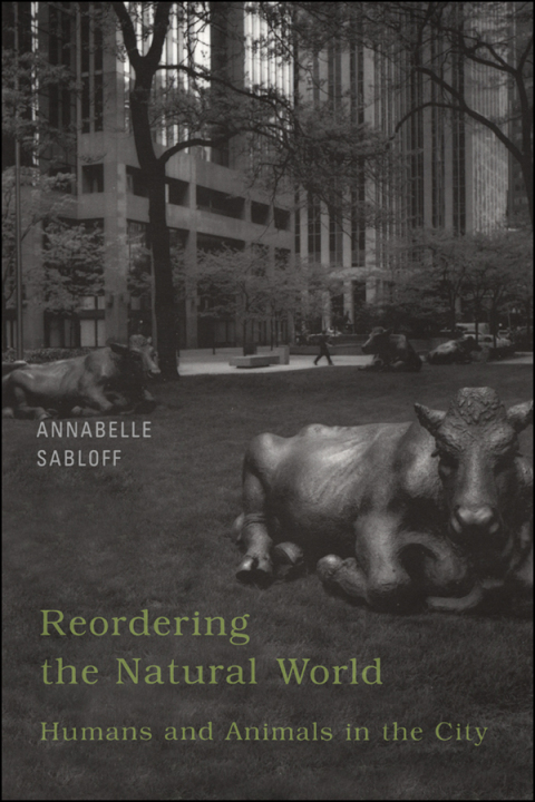 Cover image for book Reordering the Natural World