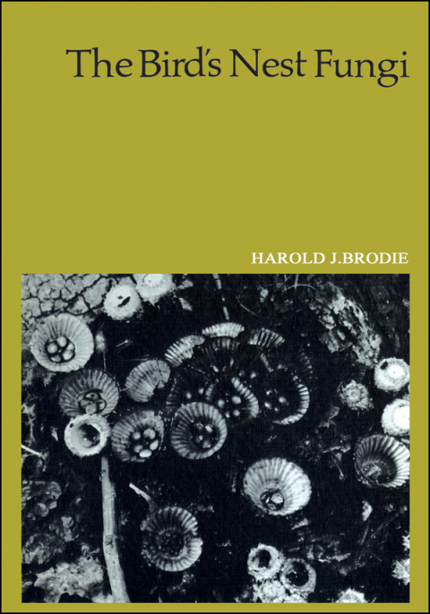 Cover image for book The Bird's Nest Fungi