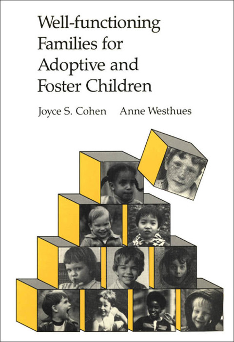 Cover image for book Well-functioning Families for Adoptive and Foster Children
