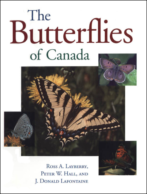 Cover image for book The Butterflies of Canada