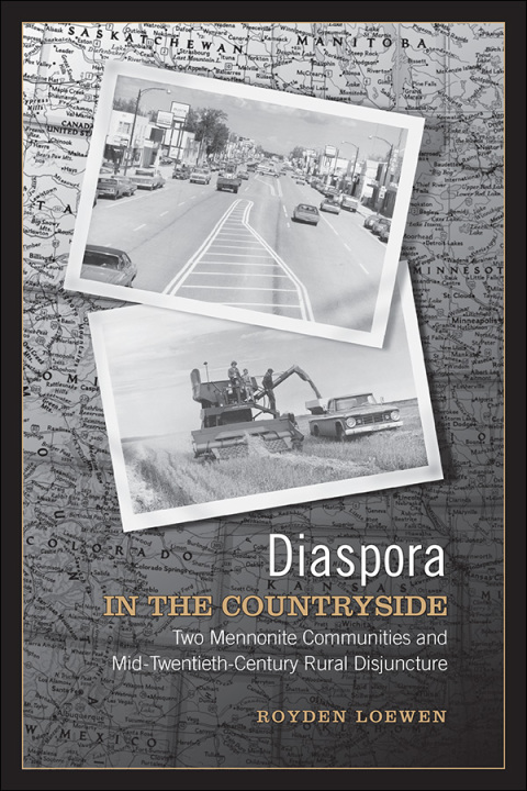 Cover image for book Diaspora in the Countryside