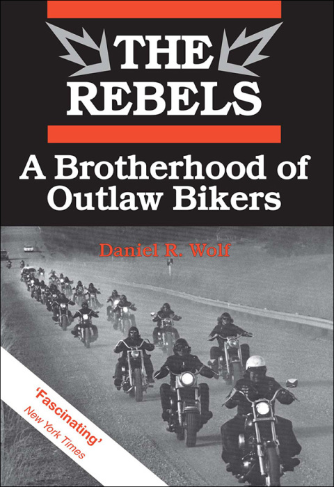 Cover image for book The Rebels