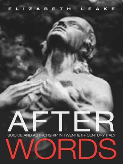 Cover image for book After Words