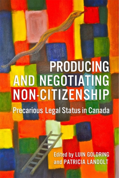 Cover image for book Producing and Negotiating Non-Citizenship