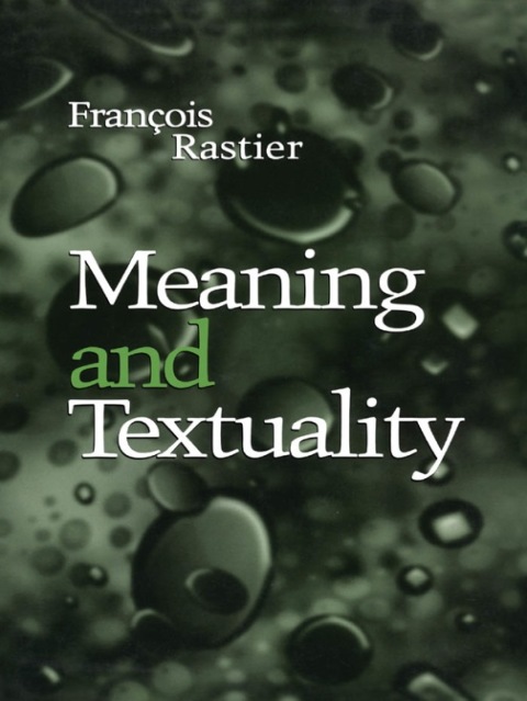 Cover image for book Meaning and Textuality