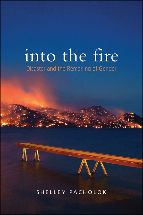Cover image for book Into the Fire