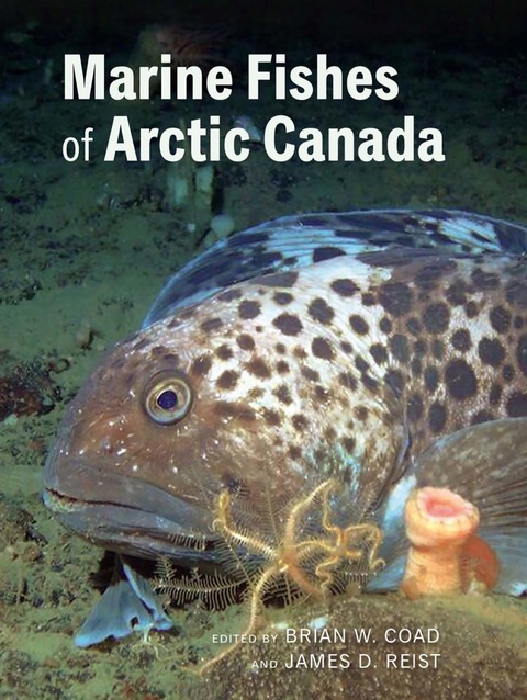 Cover image for book Marine Fishes of Arctic Canada