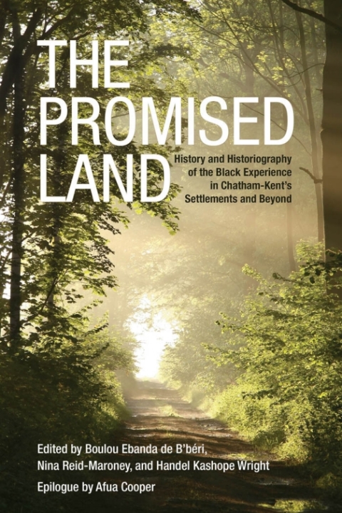 Cover image for book The Promised Land