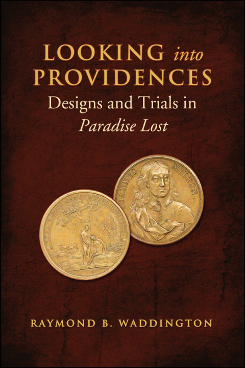 Cover image for book Looking Into Providences