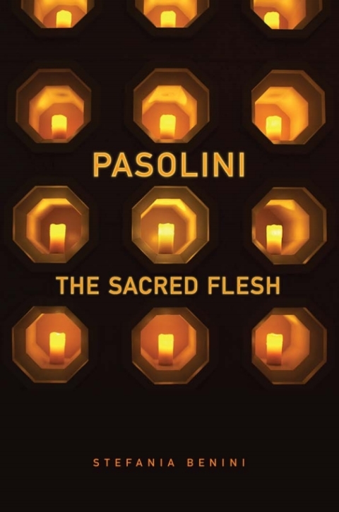 Cover image for book Pasolini