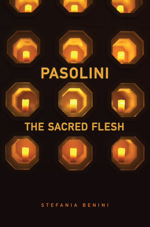 Cover image for book Pasolini