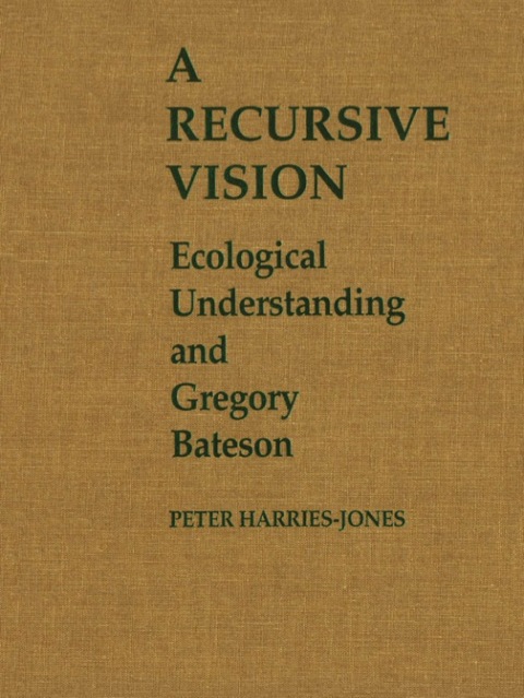 Cover image for book A Recursive Vision
