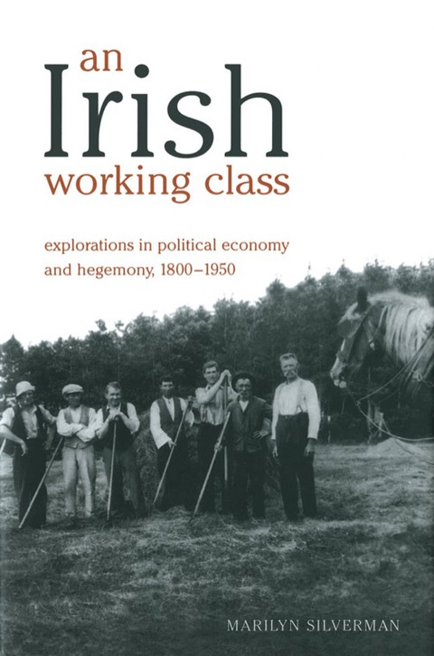 Cover image for book An Irish Working Class