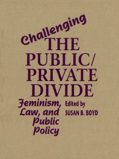 Cover image for book Challenging the Public/Private Divide