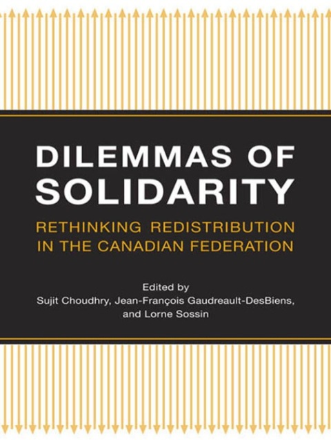 Cover image for book Dilemmas of Solidarity